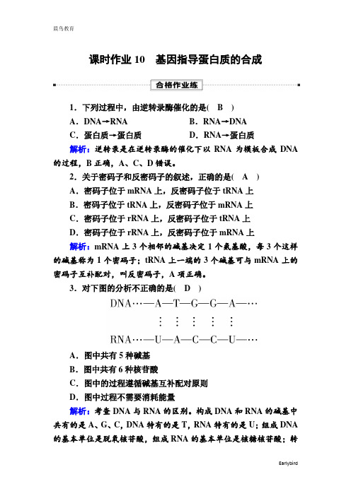 2021学年生物人教版必修2课时作业：4-1 基因指导蛋白质的合成 含解析