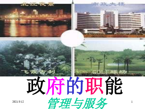 政府的职能(政治必修二)PPT课件