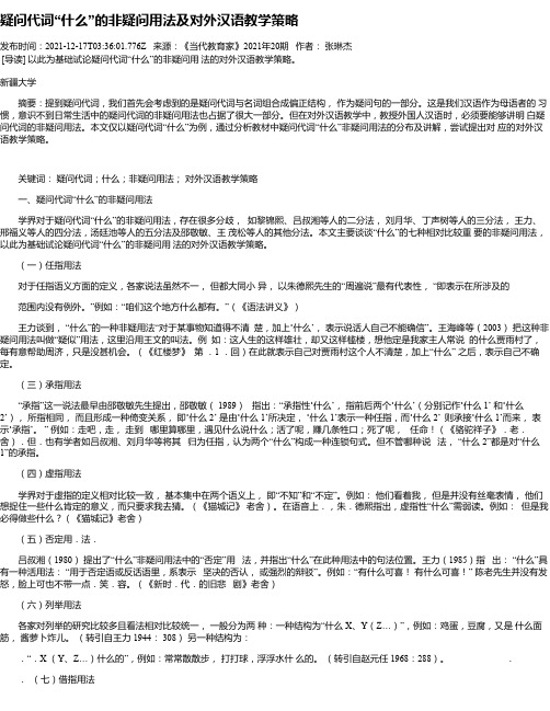 疑问代词“什么”的非疑问用法及对外汉语教学策略_1