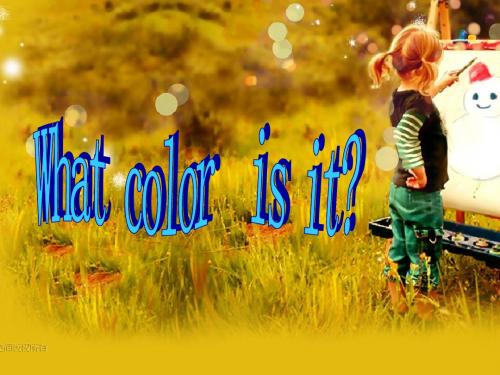 七年级英语What_color_is_it