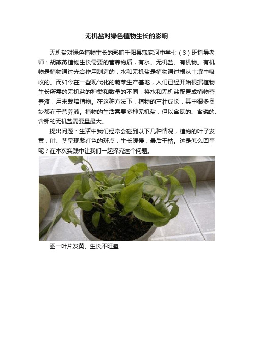 无机盐对绿色植物生长的影响