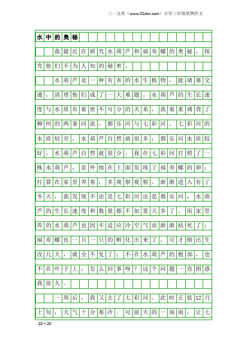 小学三年级状物作文：水中的奥秘
