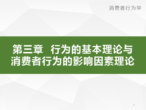 第3章-行为的基本理论与消费者行为的影响因素理论消费者行为学导论卢泰宏PPT课件