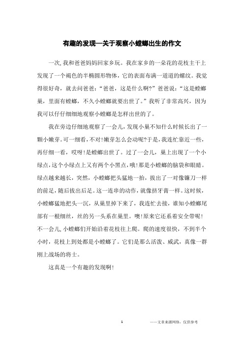 有趣的发现—关于观察小螳螂出生的作文_小学生