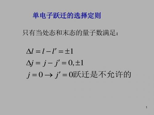 单电子原子能级的精细结构okPPT课件