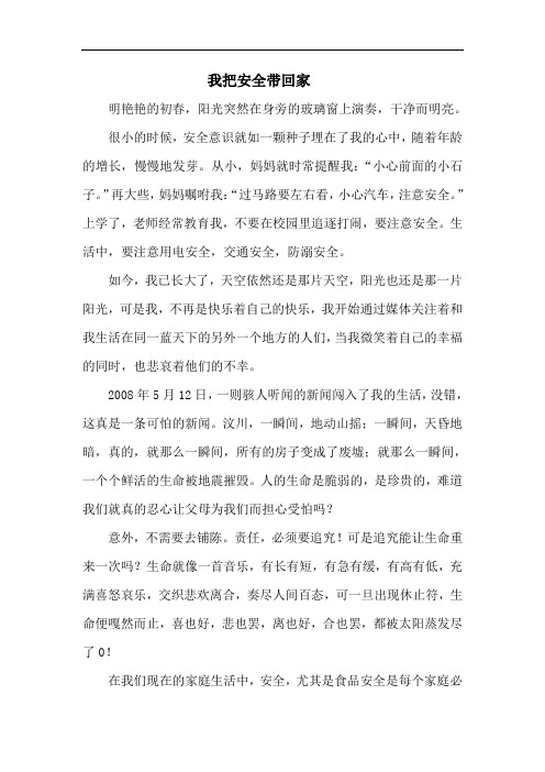 我把安全带回家
