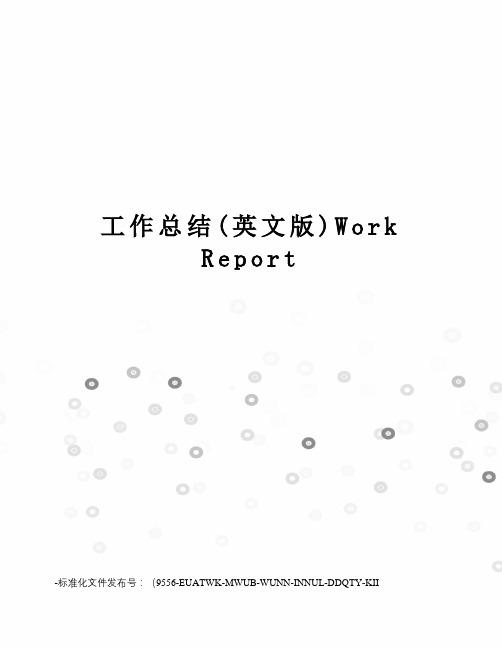 工作总结(英文版)workreport