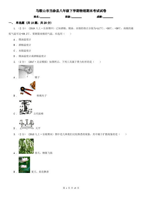 马鞍山市当涂县八年级下学期物理期末考试试卷