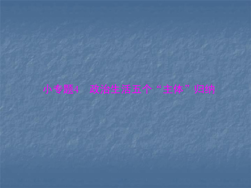 2020年高考政治总复习课件：政治生活五个“主体”归纳