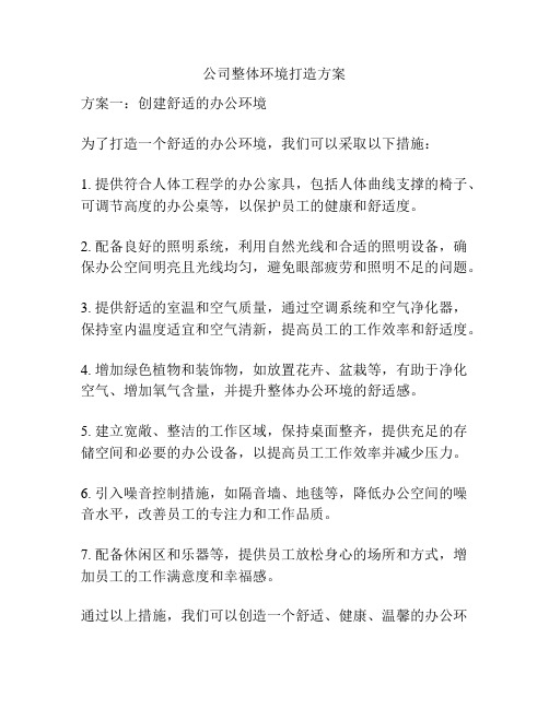 公司整体环境打造方案