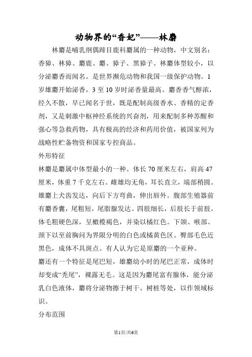 动物界的“香妃”林麝