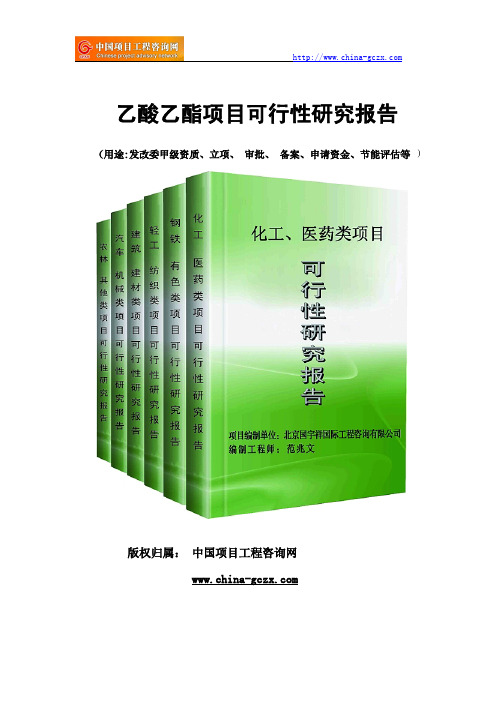 乙酸乙酯项目可行性研究报告范文格式(专业经典案例)