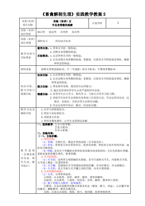 畜禽解剖生理实践教学教案5---牛全身骨骼的观察