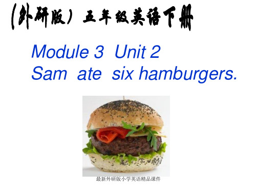 外研版三起小学英语五年级下册精品课件：3Unit 2 Sam ate six hamburgers. (2)