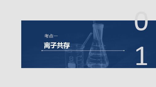 高三复习-离子共存 课件
