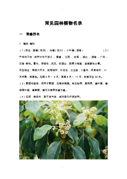 常见校园植物名录(附图片)