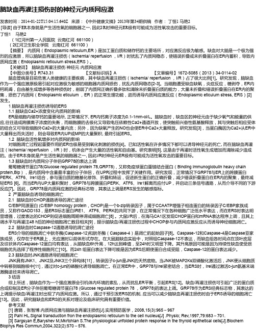 脑缺血再灌注损伤时的神经元内质网应激