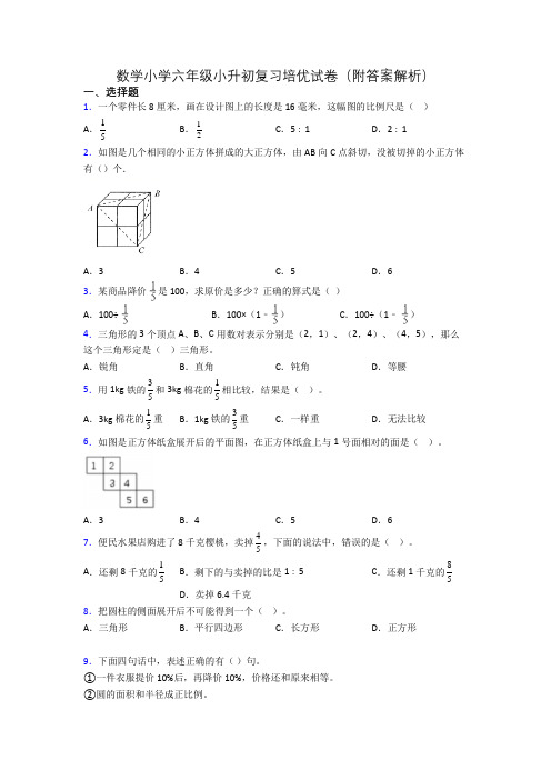 数学小学六年级小升初复习培优试卷(附答案解析)