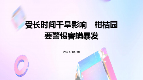 受长时间干旱影响 柑桔园要警惕害螨暴发