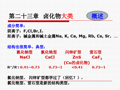 电子教案23  卤化物[8页]