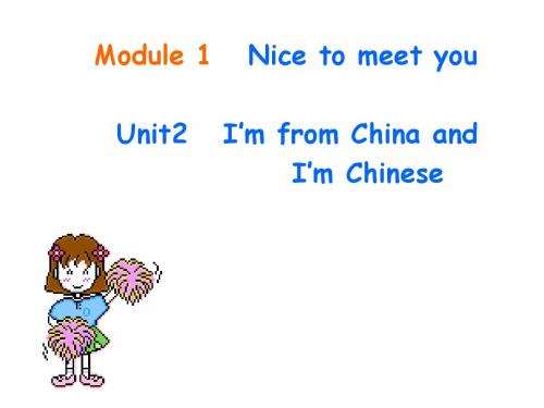 七年级英语I’m-from-China-and-I’m-Chinese课件2