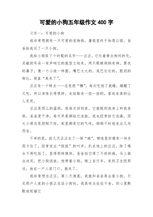 可爱的小狗五年级作文400字_作文