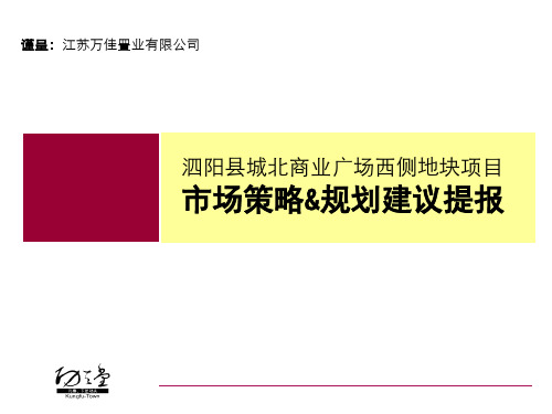 江苏泗阳_广场西侧地块项目市场策略规划建议提报_113PPT_功夫堂