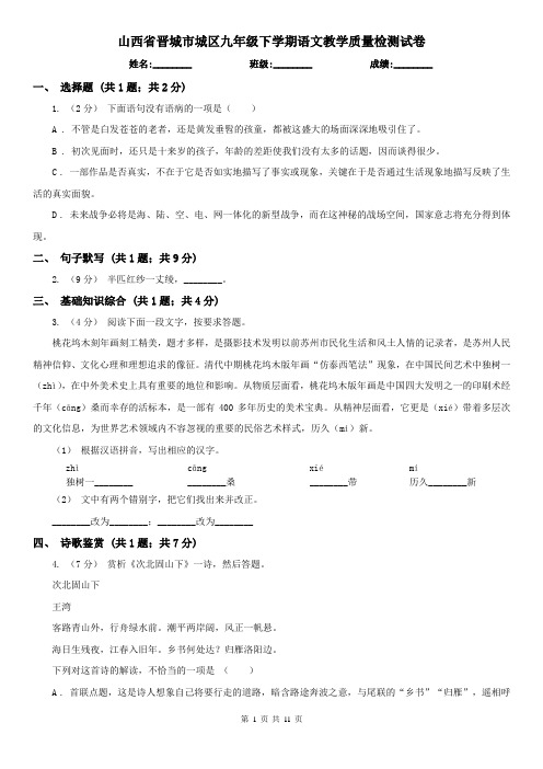 山西省晋城市城区九年级下学期语文教学质量检测试卷