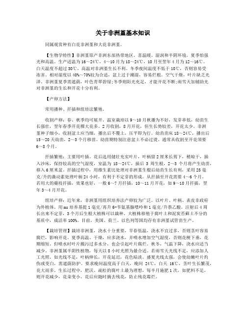 关于非洲堇基本知识