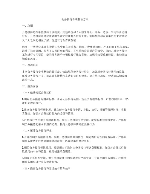 公务接待专项整治方案