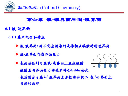 第六章  液-液界面和固-液界面