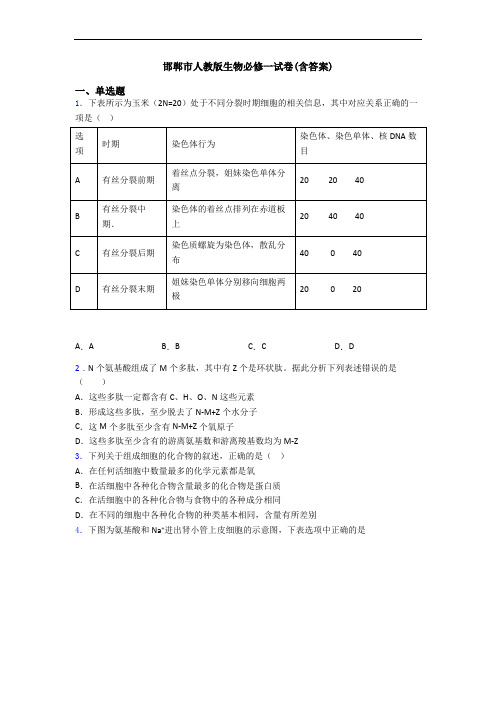 邯郸市人教版生物必修一试卷(含答案)