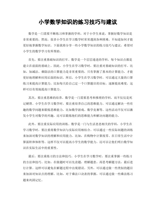 小学数学知识的练习技巧与建议