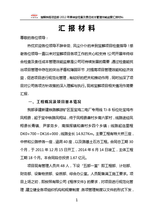 正式修改2012年度综合检查及效能监察汇报材料2