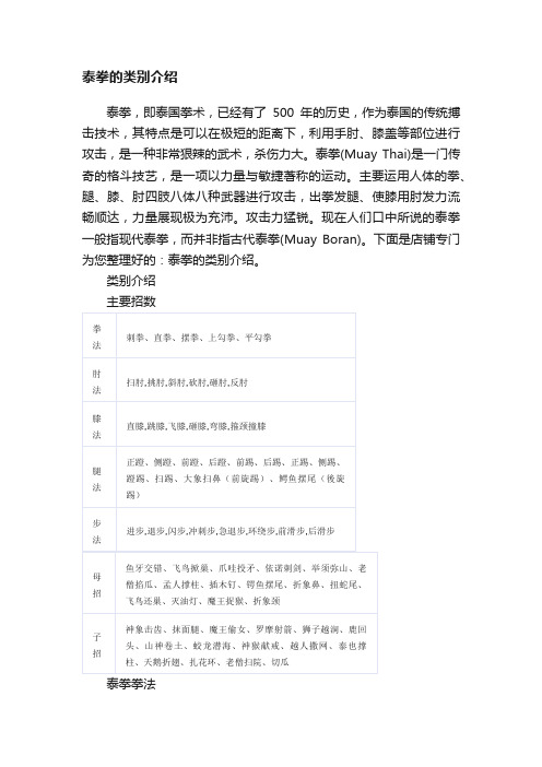 泰拳的类别介绍