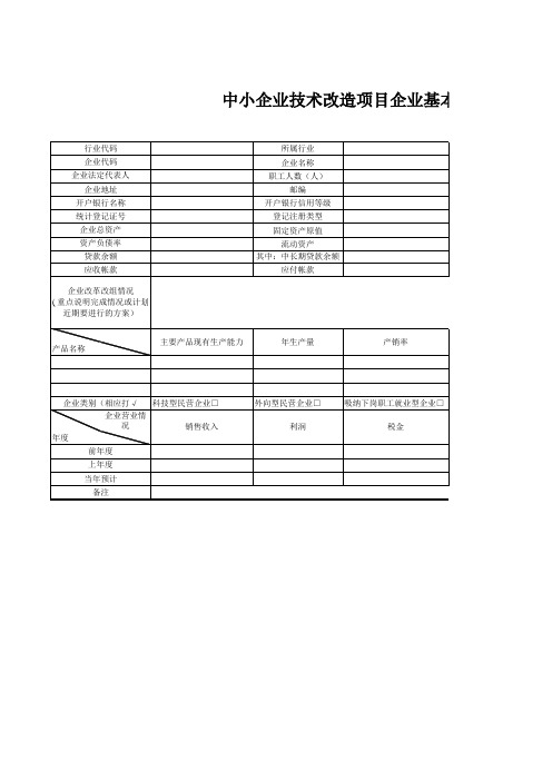 中小企业技术改造项目企业基本情况表