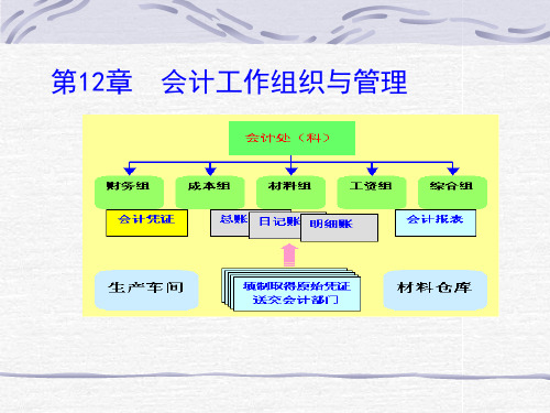 会计工作组织与管理.pptx