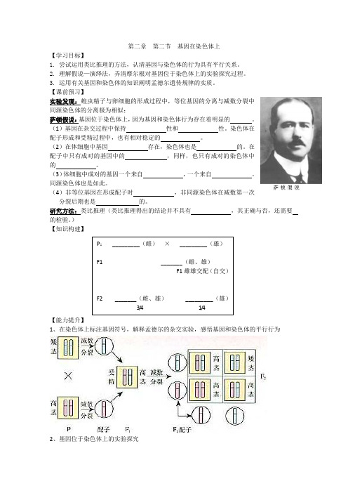 基因在染色体上