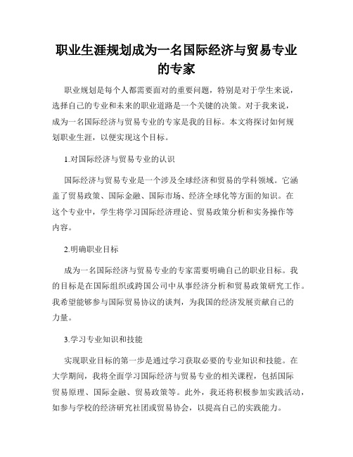 职业生涯规划成为一名国际经济与贸易专业的专家