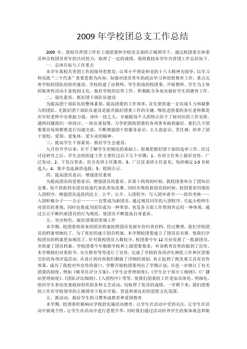 2009年学校团总支工作总结