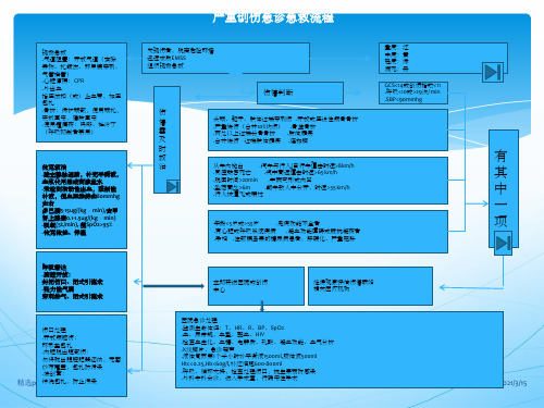 严重创伤急诊急救流程