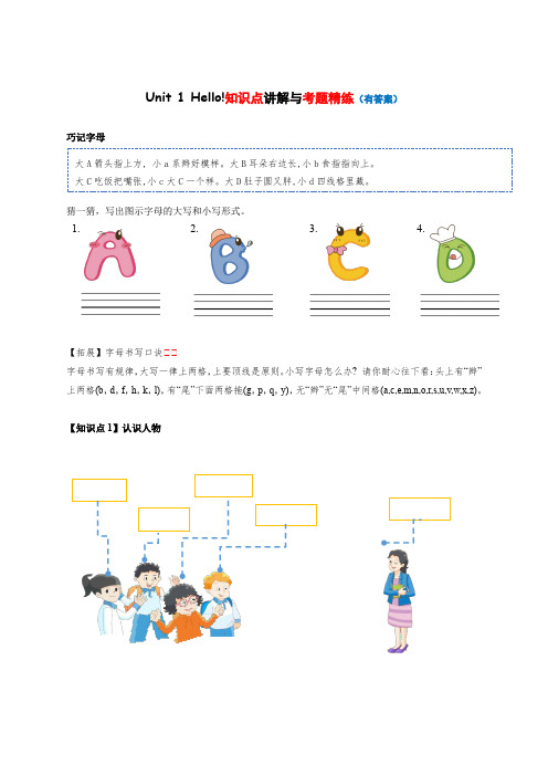 2023-2024年小学英语三年级上册知识梳理考点精练 Unit 1 Hello! (译林版三起)