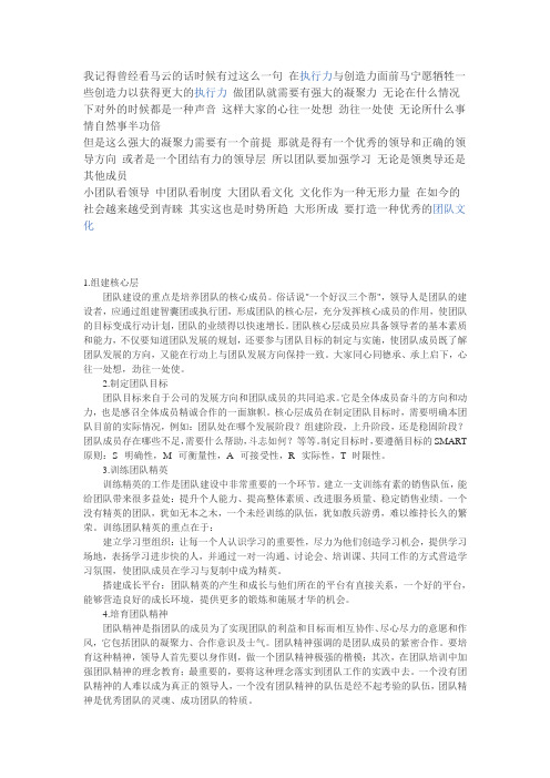 团队是 什么 (2)【微商团队运营精品文档】