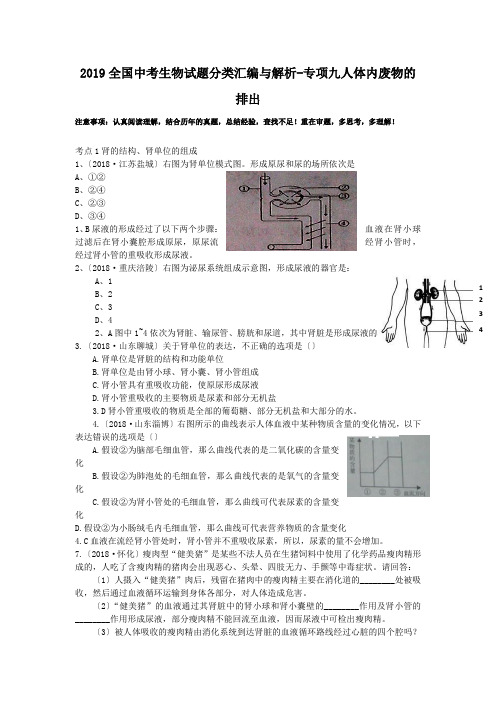 (完整word版)2019全国中考生物试题分类汇编与解析-专项九人体内废物的排出