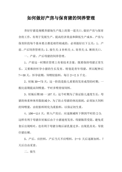 如何做好产房与保育猪饲养管理