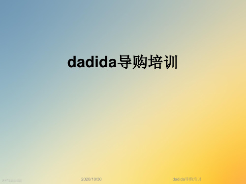 dadida导购培训