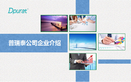 普瑞泰 企业介绍ppt-2019