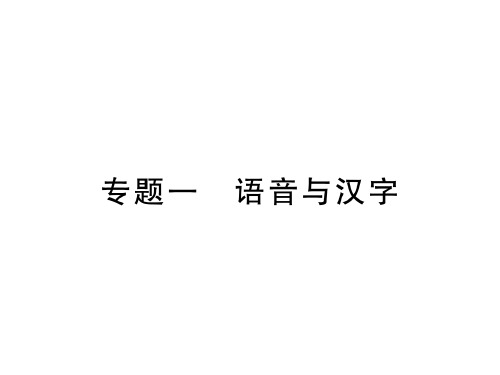 秋语文版九年级语文上册习题课件:专题一 语音与汉字 (共14张PPT)