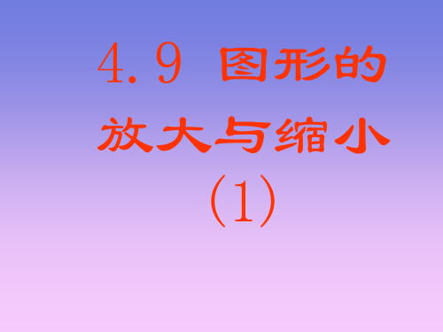 初二数学最新课件-图形的放大和缩小北师大版 精品