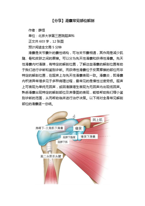 【分享】滑囊常见部位解剖